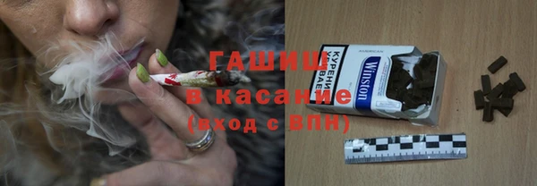 мдпв Бородино