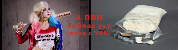 мдпв Бородино
