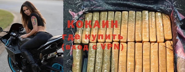 мдпв Бородино