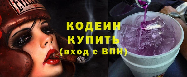 мдпв Бородино