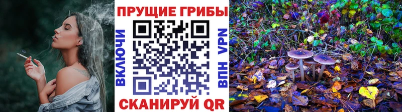 Галлюциногенные грибы Magic Shrooms  Купить где  Похвистнево 